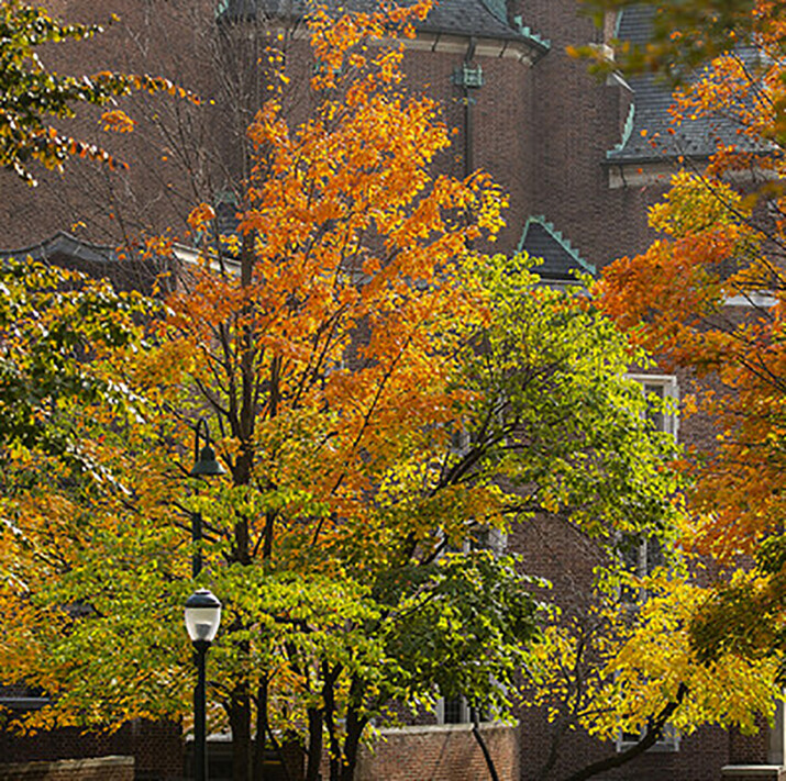 fall trees on campus